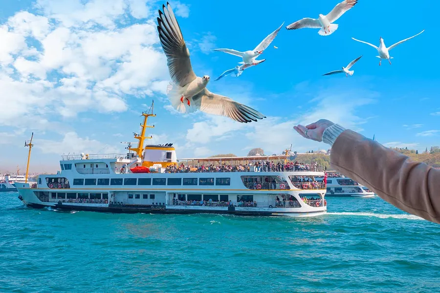 Blog Image - Top 10 Things To Do In İstanbul