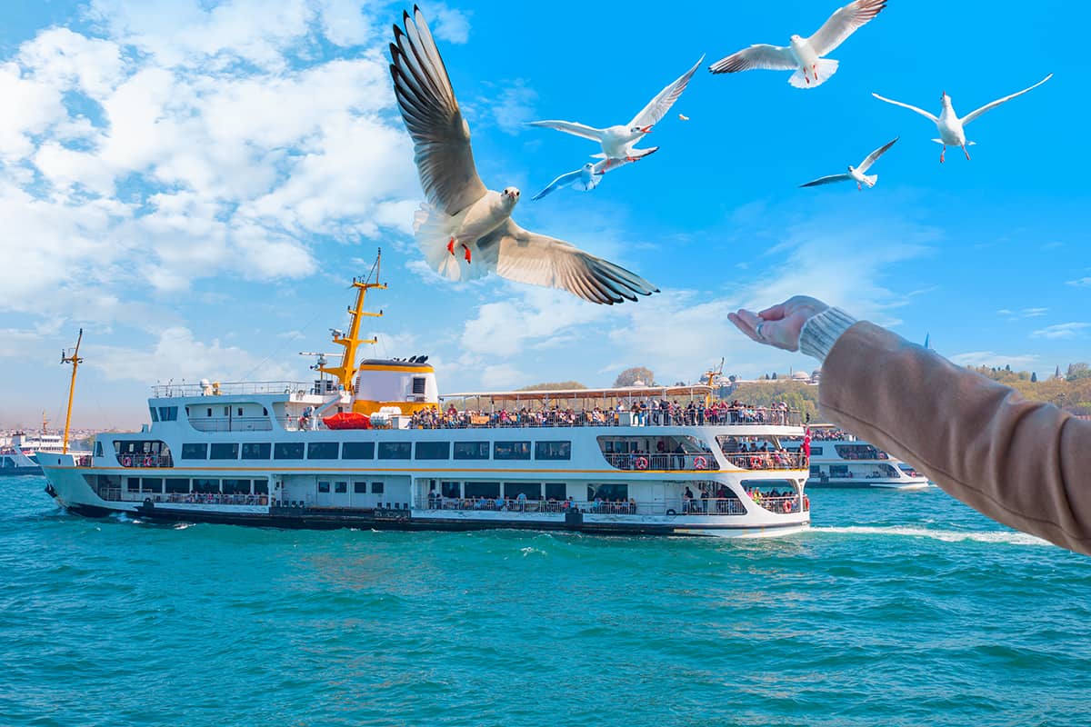Blog Image - Top 10 Things To Do In İstanbul