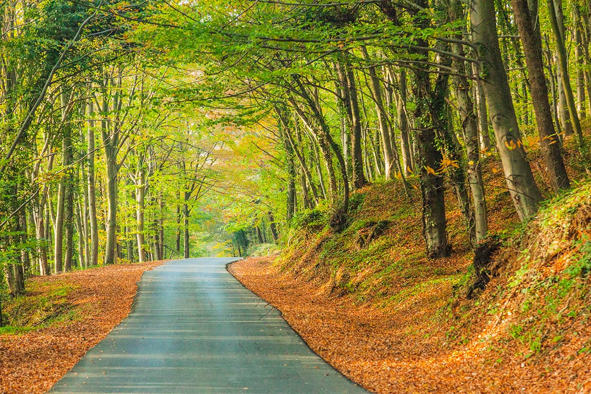 Blog Image - Time for a Jog: The 7 Best Running Routes in İstanbul