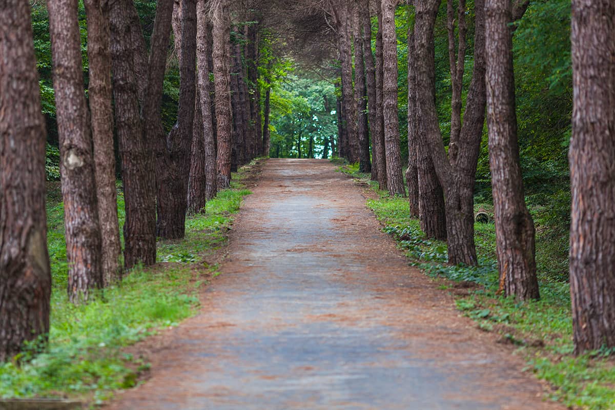 Blog Image - Time for a Jog: The 7 Best Running Routes in İstanbul