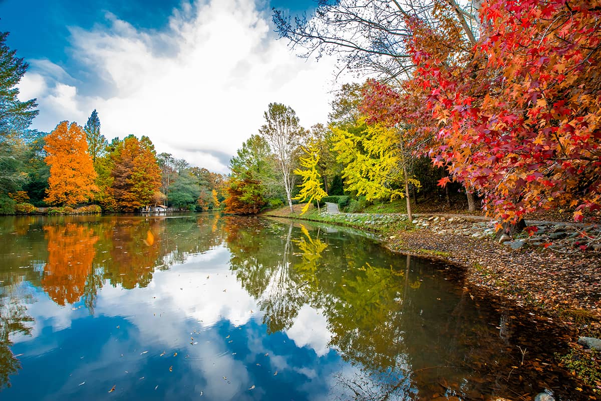 Blog Image - The Most Beautiful Parks & Gardens in İstanbul