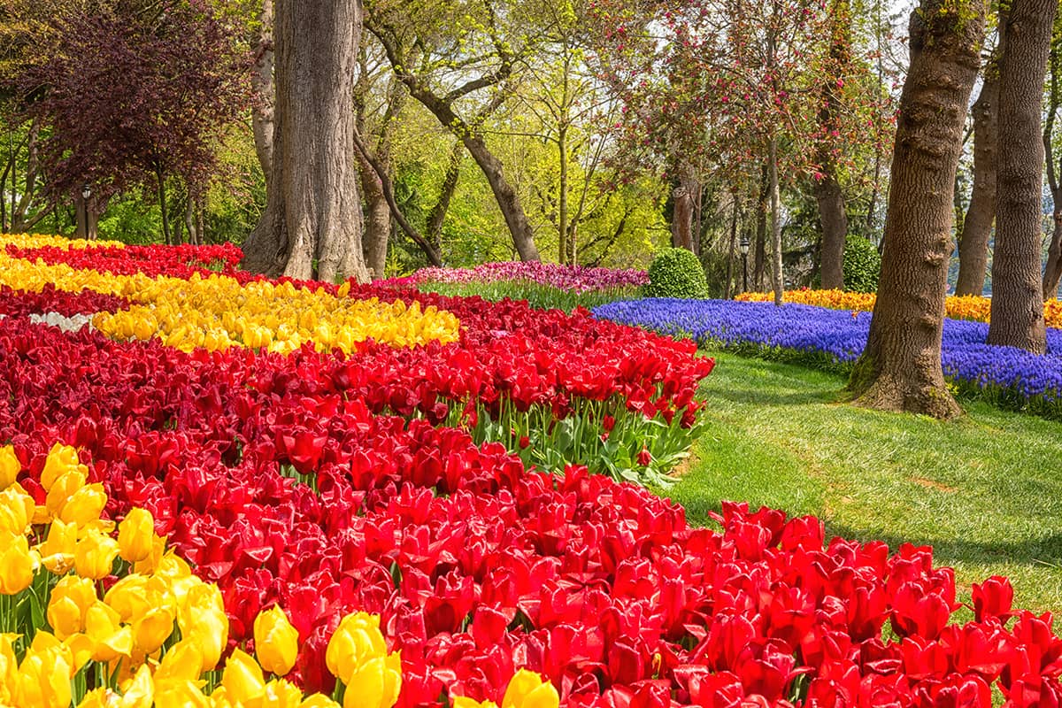 Blog Image - The Most Beautiful Parks & Gardens in İstanbul