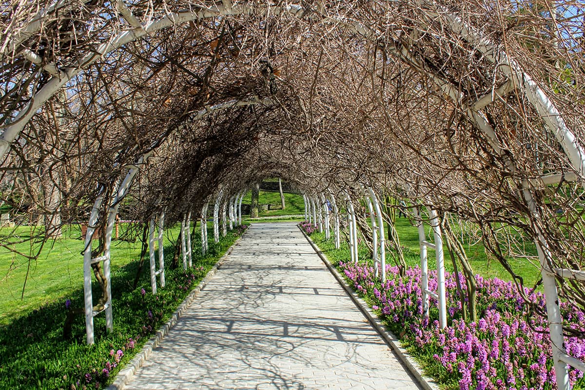 Blog Image - The Most Beautiful Parks & Gardens in İstanbul