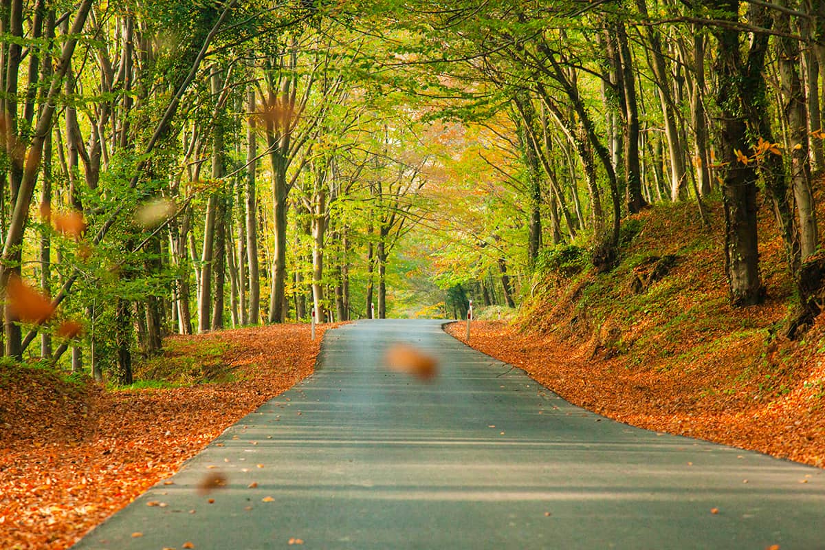 Blog Image - Time for a Jog: The 7 Best Running Routes in İstanbul