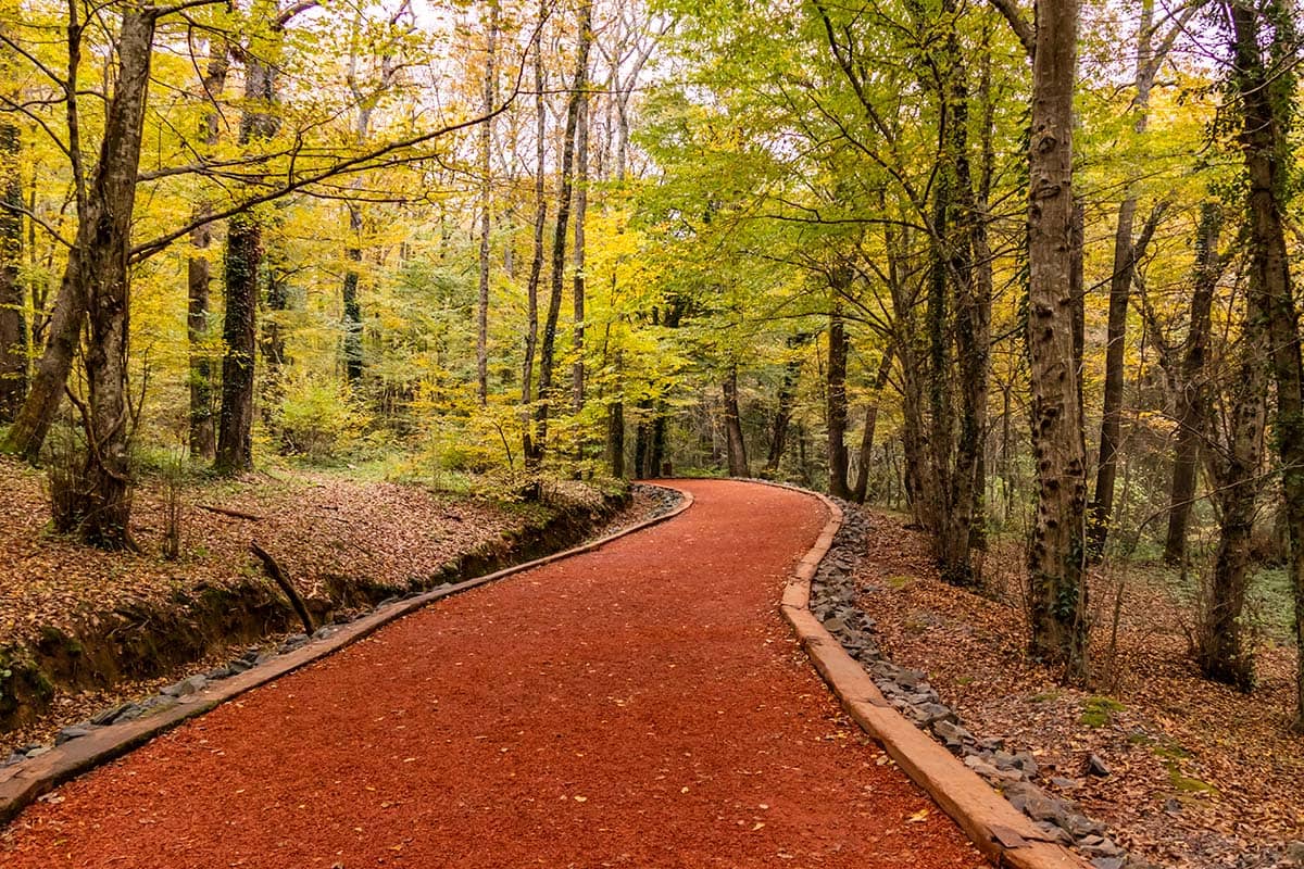 Blog Image - Best Trekking Spots Within And Around İstanbul