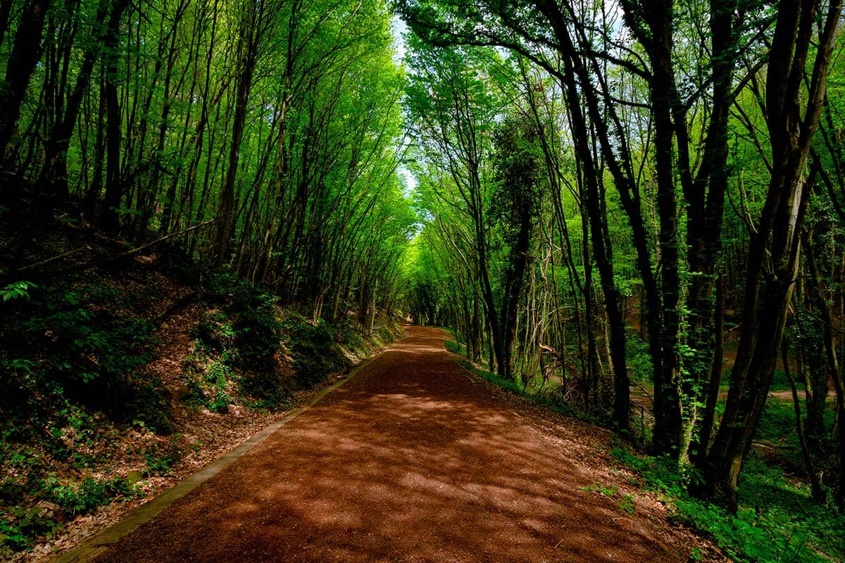 Blog Image - Best Trekking Spots Within And Around İstanbul