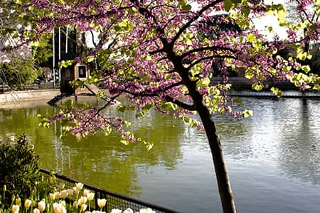 Meta Image - The Most Beautiful Parks & Gardens in İstanbul