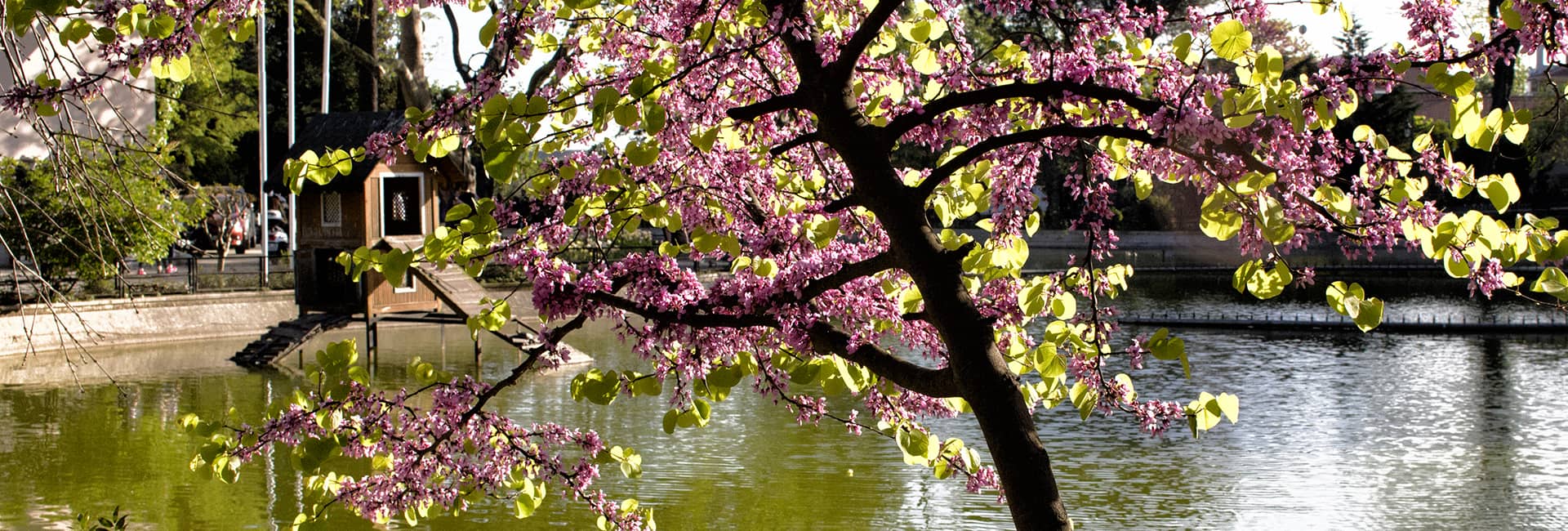 Hero Image - The Most Beautiful Parks & Gardens in İstanbul