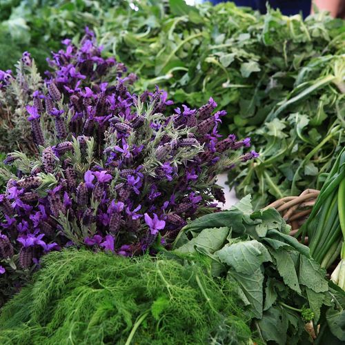 Herbs