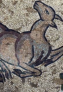 Ruinen der Mosaikstätte Germanicia