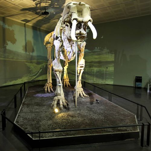 Archeological Museum