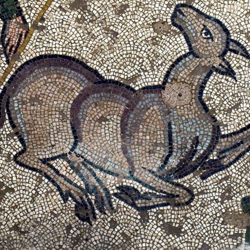 Germanicia Mosaic Field Archaeological Site