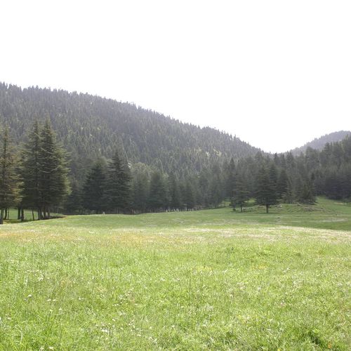 Başkonuş-Hochebene
