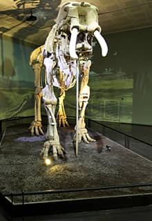 Archäologisches Museum
