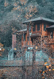 Yenice-Wald