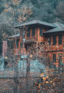 Ліс Енідже