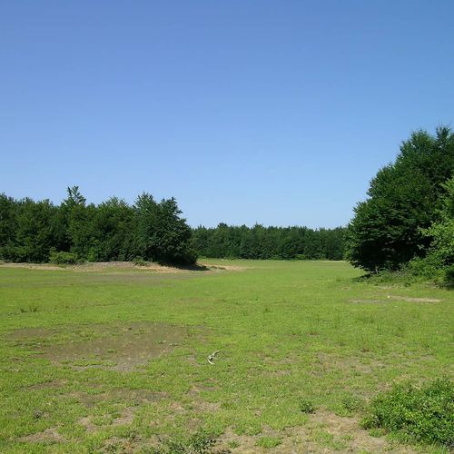 Karlık Plateau