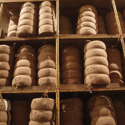 Kars Cheese