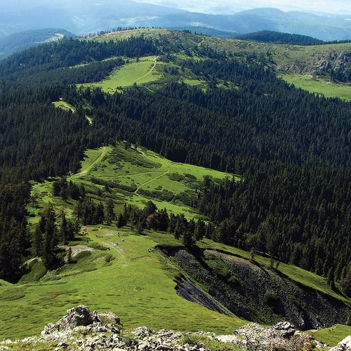 Ilgaz Mountain