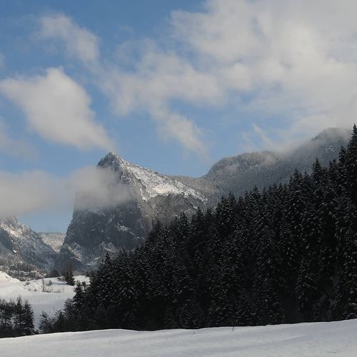 Küre Mountains National Park