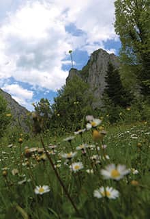 Ersizlerdere Kanyonu