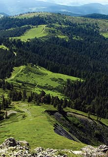 Ilgaz Mountain