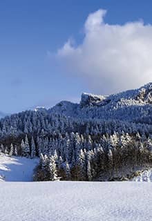 Küre Mountains National Park