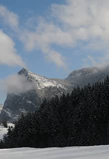 Küre Mountains National Park