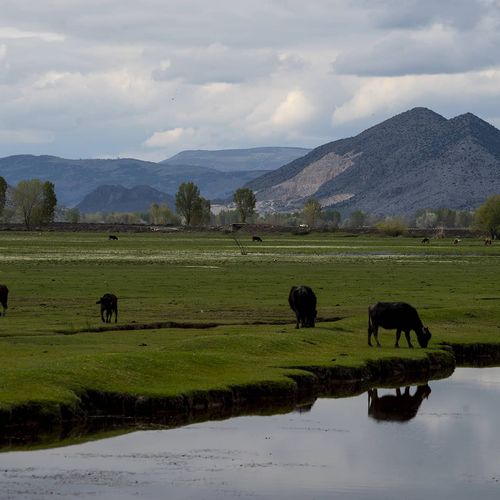 Kaz Lake Wildlife Development Area