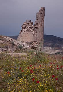 Ravanda Castle
