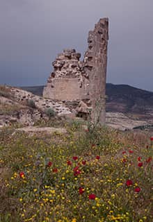 Ravanda Castle