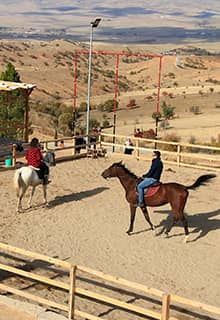 Dinek Dağı Atlı Safari ve Padok Alanı