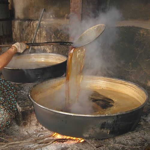 Molasses