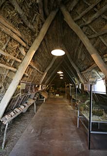 Aşağı Pınar Neolithic Period Exhibition