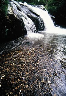 Freshwater Lakes