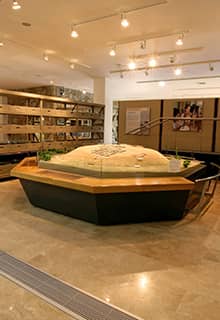 Musée Archéologique de Kalehöyük, Kaman 