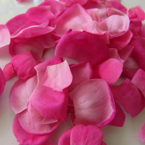 Kırşehir Roses