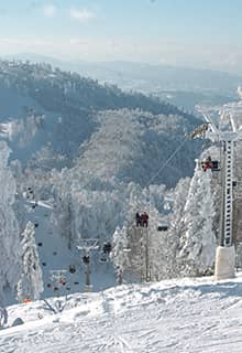 Kartepe