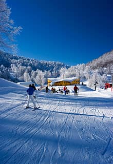 Kartepe