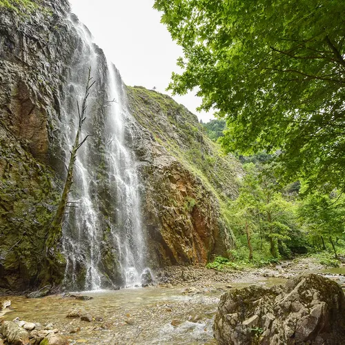 Bosques y parques naturales