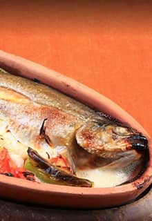 Trout on Tile