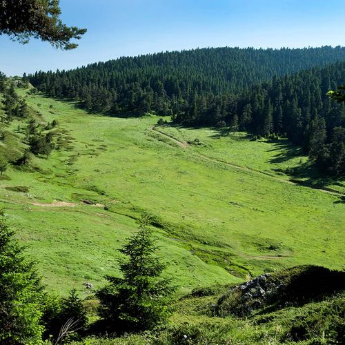 Kömürsu Plateau
