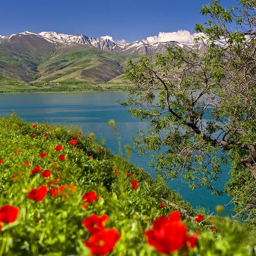 بحيرة وان