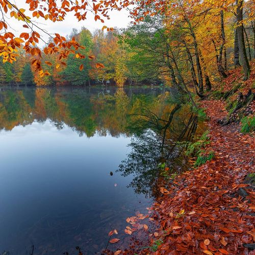 Yedigöller See, Bolu