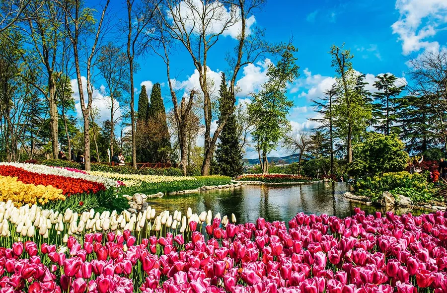 1-Day İstanbul Literature Museums Route