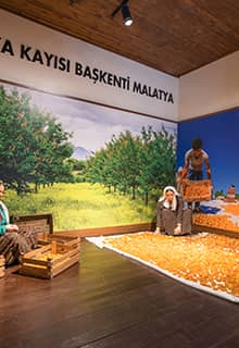 Malatya Kültür Evi