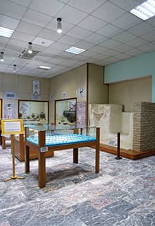 Arkeoloji Müzesi