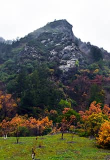 Parc National du Mont Sipyle
