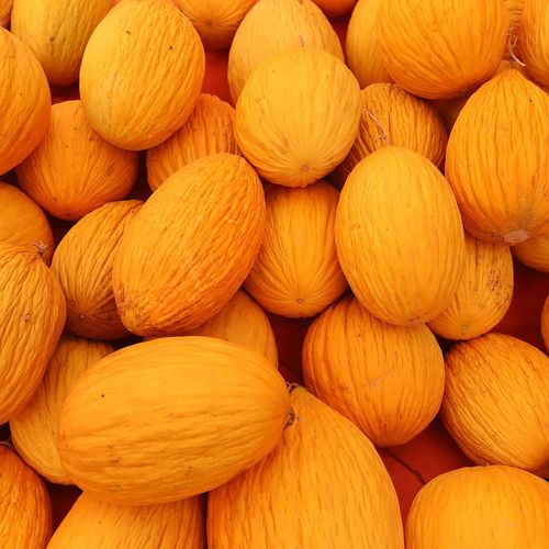 Kırkağaç Melon