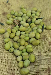 Akhisar Olives